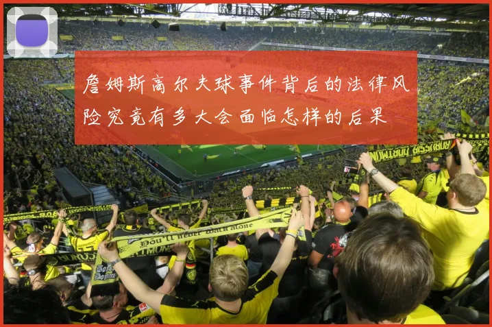 詹姆斯高尔夫球事件背后的法律风险究竟有多大会面临怎样的后果